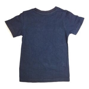 Kaos Oblong Dino Mite